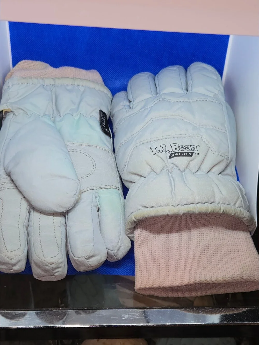 Vintage L.L. Bean Gore-Tex Ski Gloves Womens Small Leather Palm Thermolite Heatr